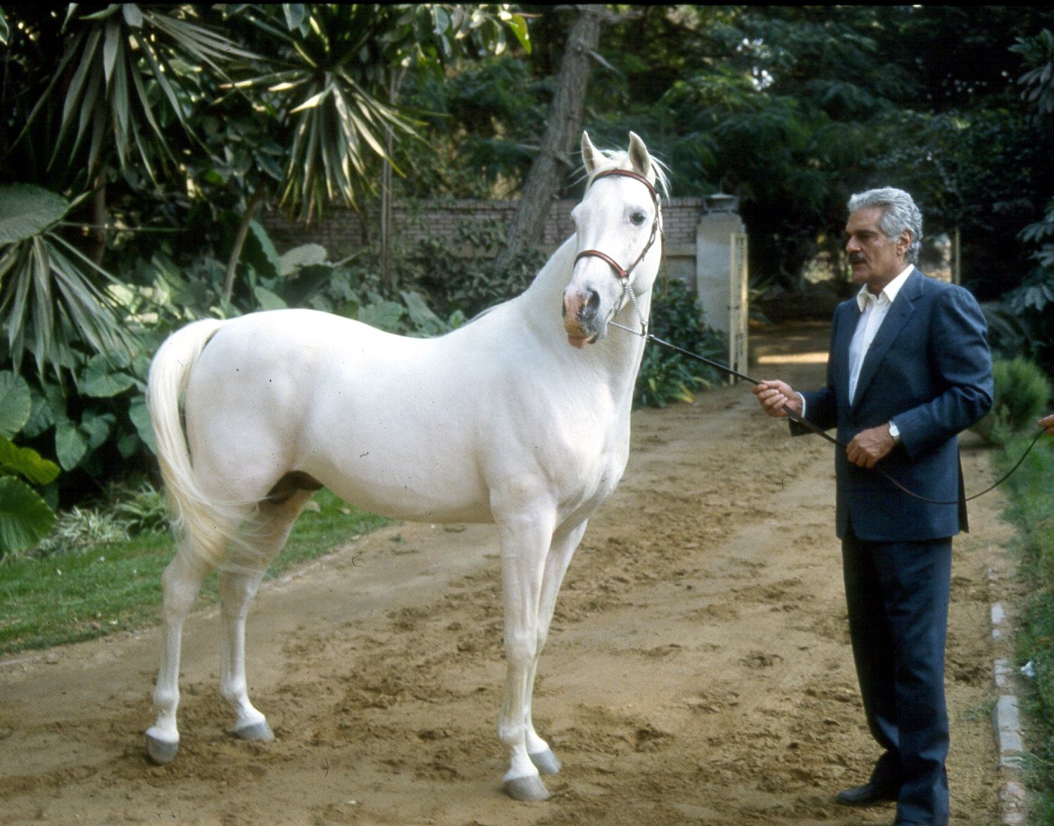 Omar Sharif with Ameer Albadeia