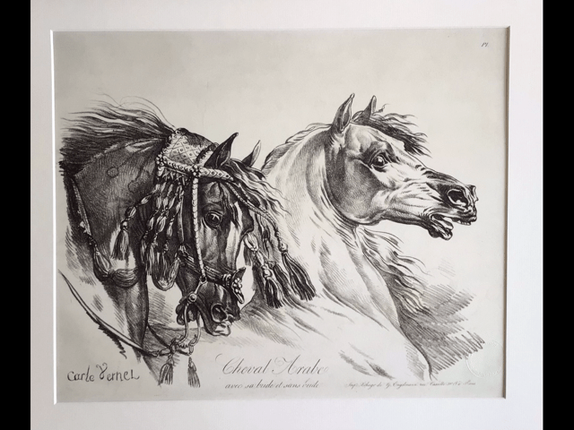 Cheval Arabe, a lithograph by Carle Vernet was the first lithograph the author bought when she was 12 years old.