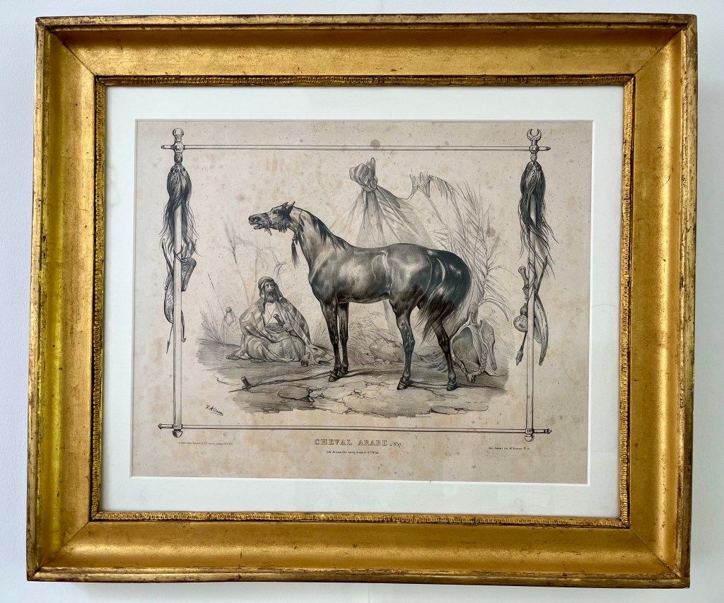 Victor Adam depicted European noblemen and generals riding Arabians. He was an avid follower of Napoleon Bonaparte, immortalizing him in numerous pictures. Victor Adam’s portraits show Napoleon with his favorite Arabian stallion, as well as European kings and queens with their steeds. His works comprise also unique pictures of Spahis or of Islamic leaders, as for example Mohammed Ali – the Viceroy of Egypt – or Abd el Kader on their noble Arabian horses.