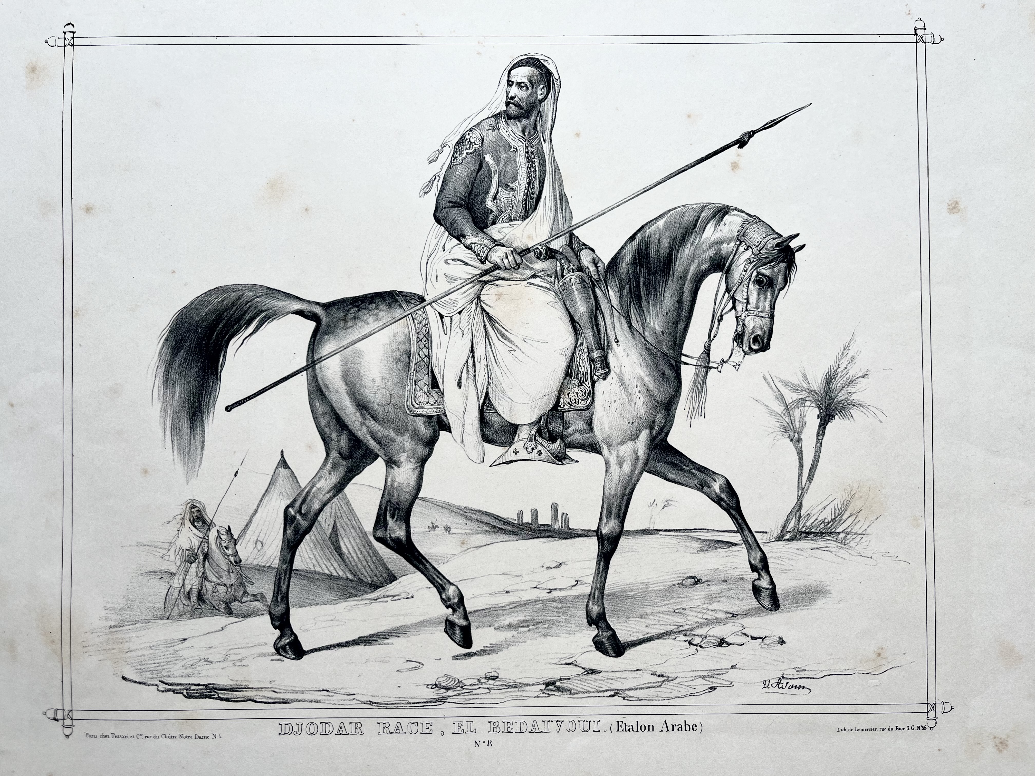 DJODAR RACE, EL BEDAIVOUI (Etalon Arabe)”, 19th century lithograph by Victor Adam and printed by Lemercier.